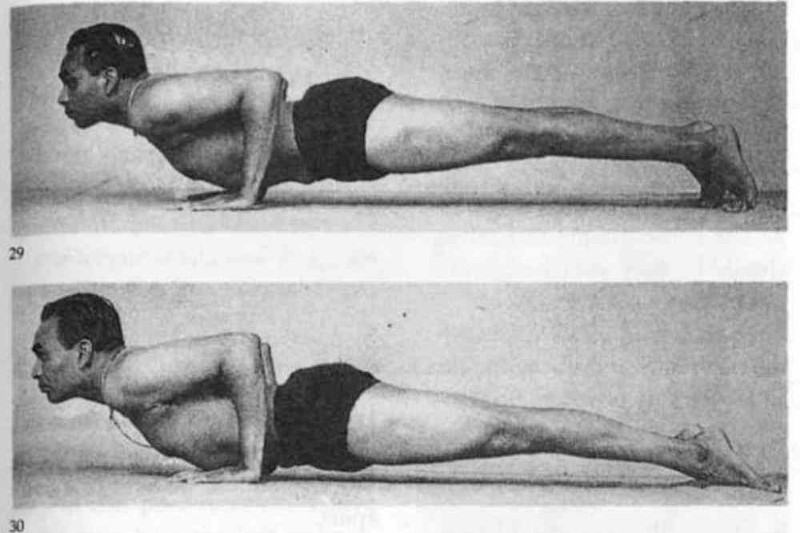 Posizione Chaturanga